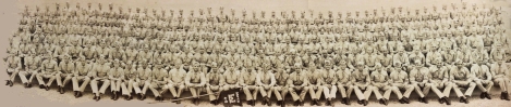 Company D 4th Battalion Engineer Replacement Training Center Fort Belvoir, Va. May 1946
